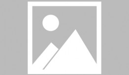 山东公务员爆料最新消息,最新人事调整与政策动向揭秘