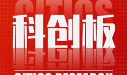 每日大赛 热心的朝阳群众吃瓜51,揭秘网络热点的背后故事