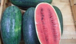 吃瓜51在线黑料吃瓜网51官网版,在线黑料聚集地，51官网版带你探秘网络八卦世界