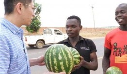 吃瓜51在线黑料体育圈很乱天涯,吃瓜51、天涯论坛曝料，体育圈乱象频发